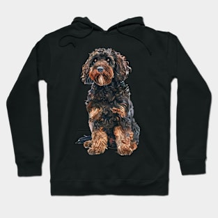 Barbet Hoodie